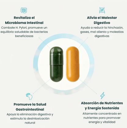 Nuvia Gut® - Pack reset intestinal natural