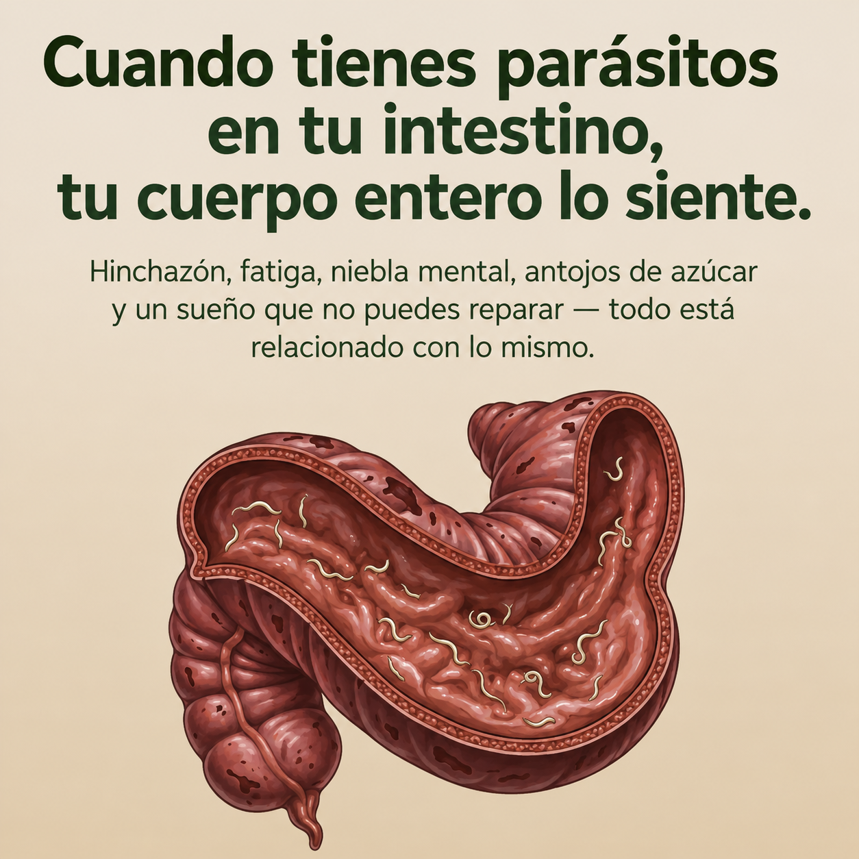 Nuvia Gut- Pack Desintoxicación con Aceite de Ricino